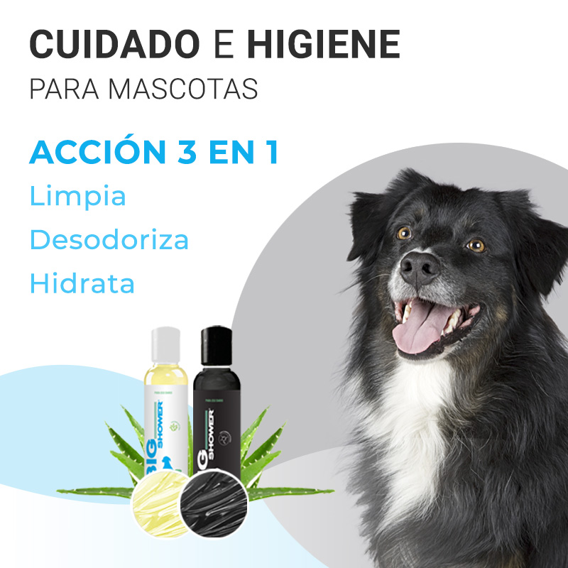 perro y gato big shower